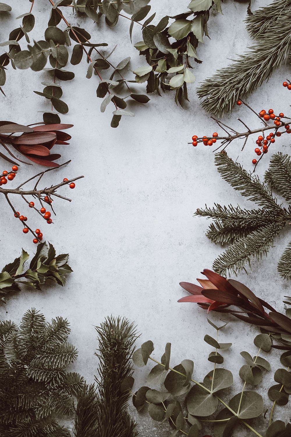 holidayplants_unsplash