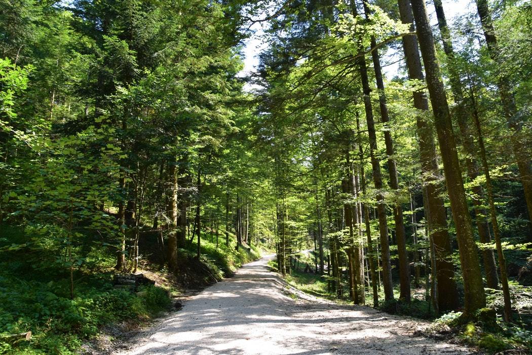 naturepath_unsplash