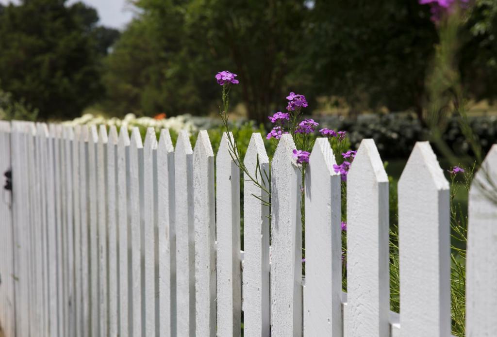 picketfence_unsplash