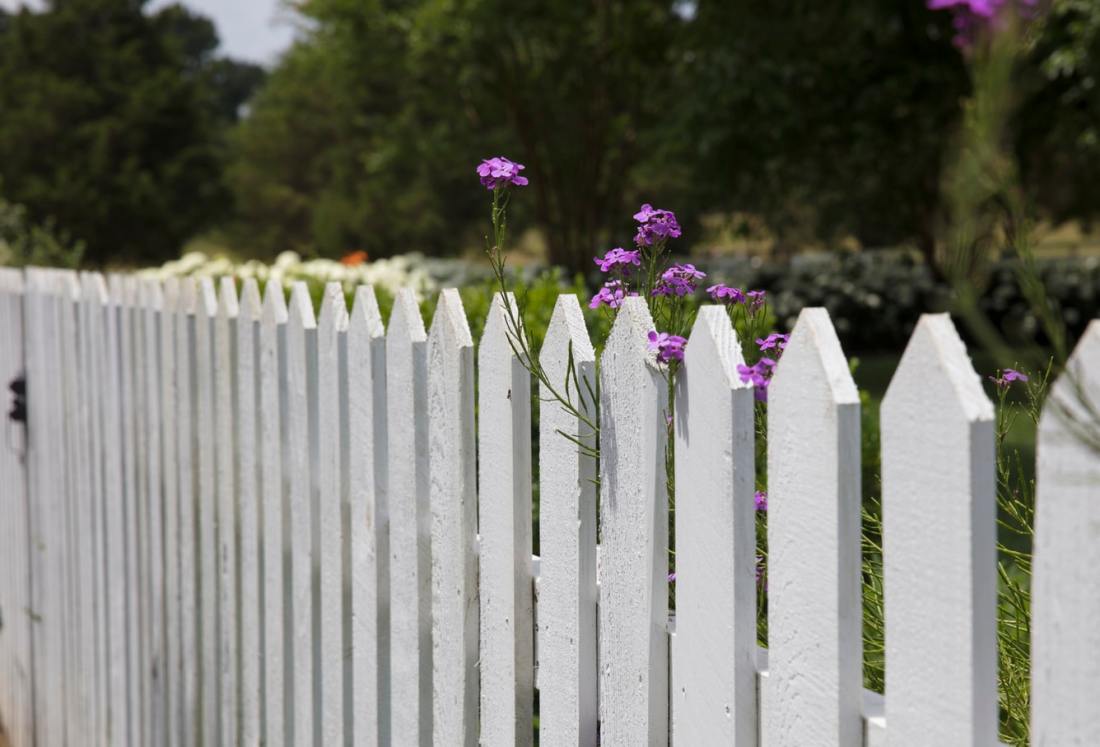 picketfence_unsplash